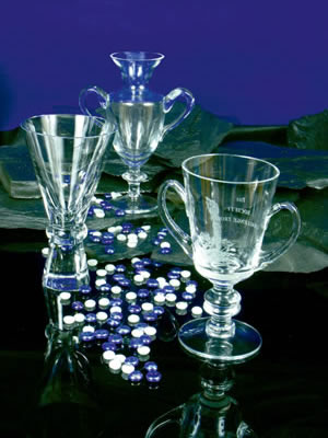 Plain Glassware Trophies